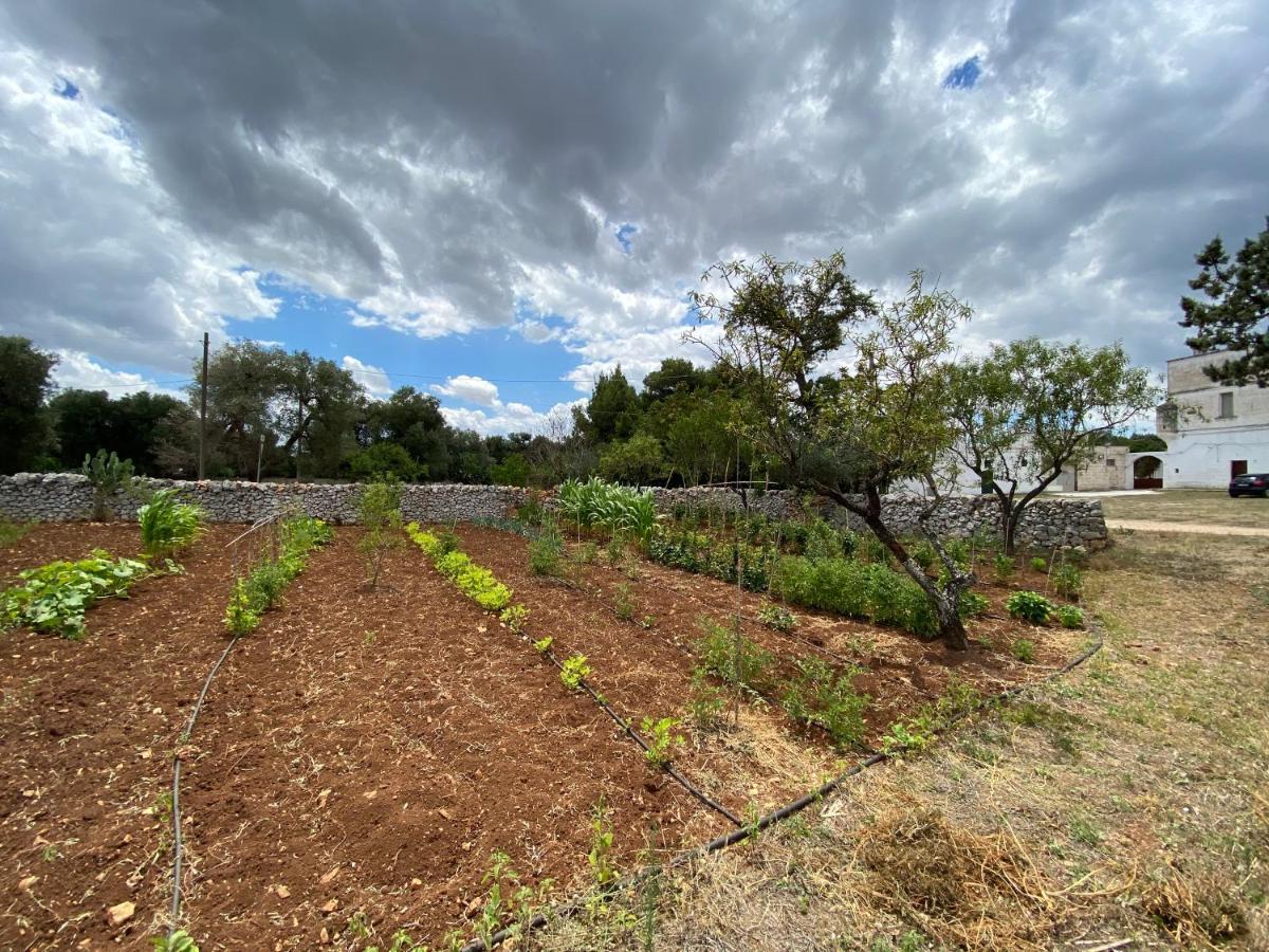 Masseria Cervellera Appartement Ceglie Messapica Buitenkant foto